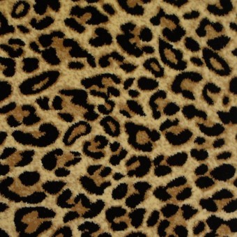 Angora - Spotted Leopard